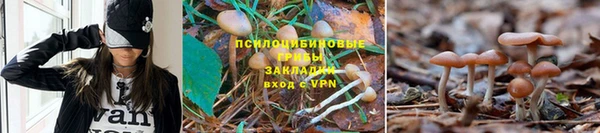 дистиллят марихуана Алексеевка
